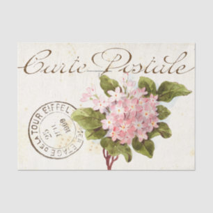 Papier Mousseline Pink Hydrangea Carte Postale Flower Vintage França