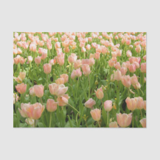 Papier Mousseline Pink Tulips in Spring Tissue Paper