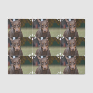 Papier Mousseline Pinscher adorable de dobermann