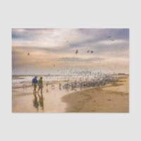 Plage de Floride au coucher du soleil - Les oiseau