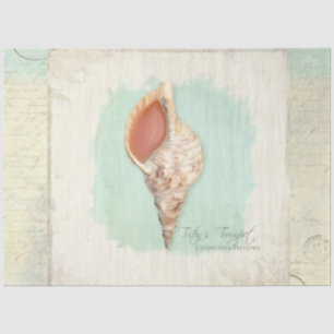 Papier Mousseline Plage Trumpet Sea Shell Blue Watercolor Decoupage