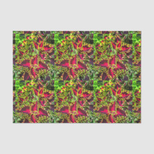 Papier Mousseline Plante Coleus rouge et vert