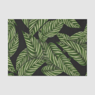 Papier Mousseline Plante de feuille tropicale moderne Imprimer Monog