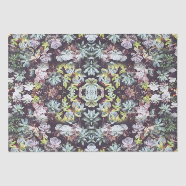 Papier Mousseline Plantes de jardin succulents Motif photo (Recto)