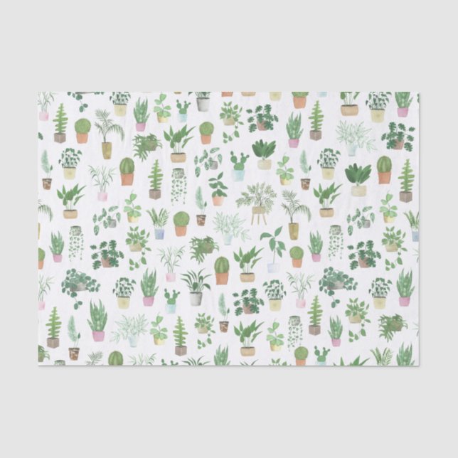Papier Mousseline Plantita House Plantes et Pots Motif (Recto)