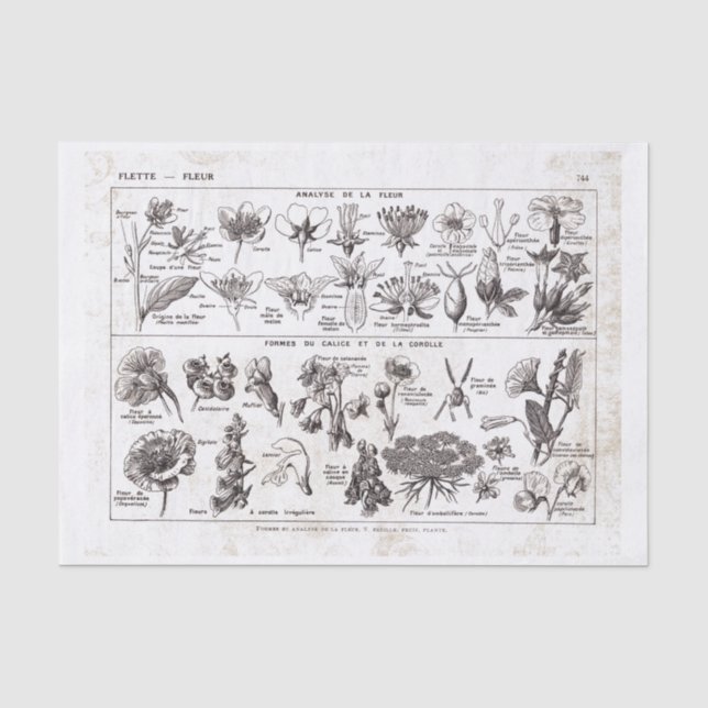 Papier Mousseline Plat français Print-No.22138-Flowers/Fle de (Recto)