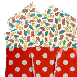Papier Mousseline Plumes de dessin rouge, bleu et jaune sur crème