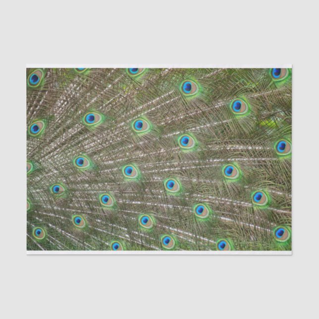 Papier Mousseline Plumes de paon (Recto)