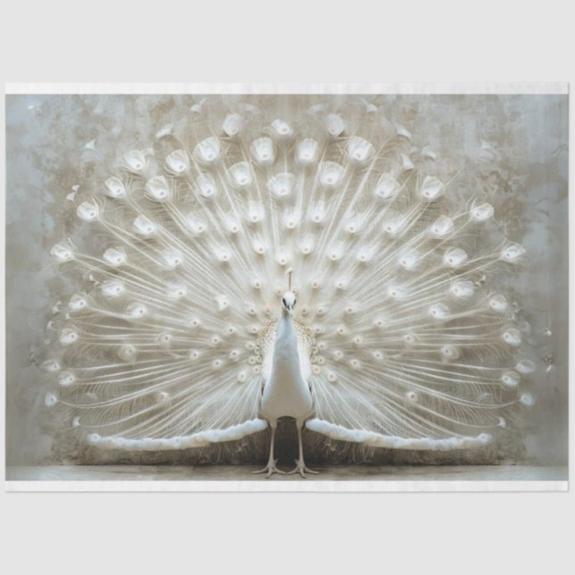 Papier Mousseline Plumes de paon blanc déplié (Recto)