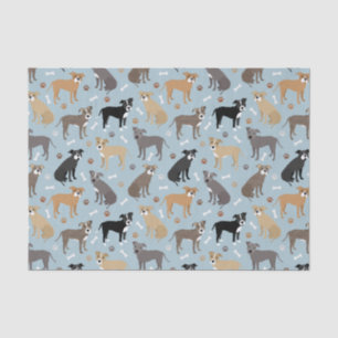 Papier Mousseline Poches et os Pitbulles