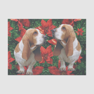 Papier Mousseline Poinsettias de Noël de Basset Hound