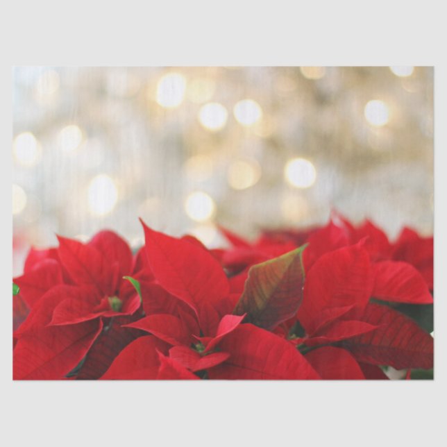 Papier Mousseline Poinsettias rouges aux lumières dorées chatoyantes (Recto)