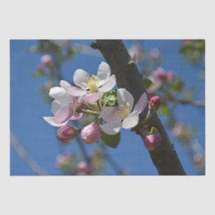Papier Mousseline Pommes en fleurs - Une branche florissante de pomm