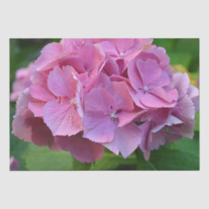 Papier Mousseline Pompée rose Hydrangea Hortensia Fleur