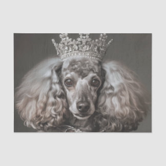 Papier Mousseline Poodle gris habillé en princesse