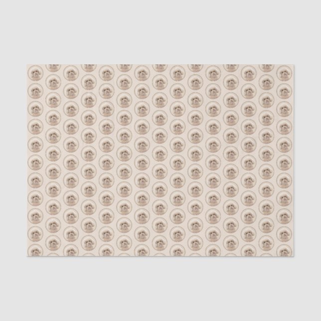 Papier Mousseline Poodle Miniature Toy Apricot Crème Chien Brown Art (Recto)
