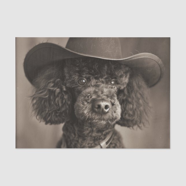 Papier Mousseline Poodle noir habillé en costume d'Halloween Cowboy (Recto)