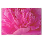 Pop de PAPIER Pink Peony-TISSUE EN WRAPPER