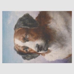 Papier Mousseline Portrait vintage de chien St Bernhard