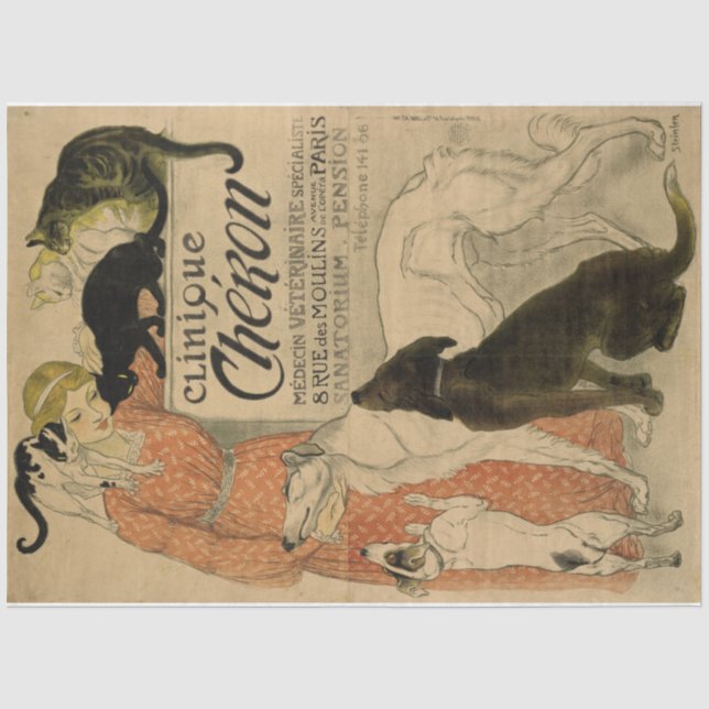 Papier Mousseline Poster Art Nouveau 21 Animaux Lady Découpage (Recto)