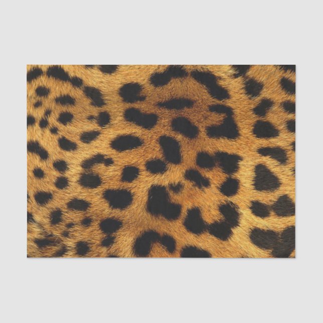 Papier Mousseline poster de animal de safari branché leopard motif (Recto)