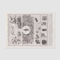 Poster vintage d'abeilles de l'éducateur