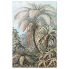 Poster Vintage Ernst Haeckel Palm Trees