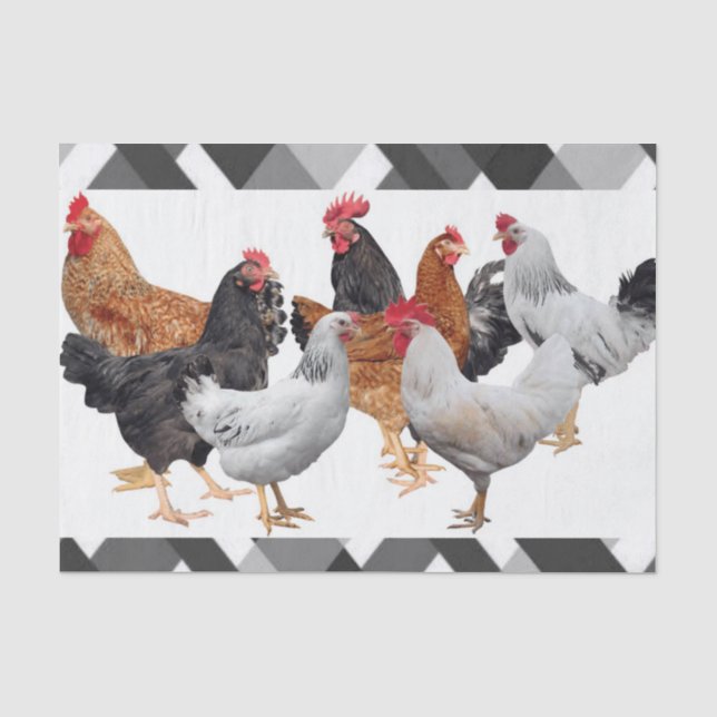 Papier Mousseline Poulet de papier de tissus (Recto)