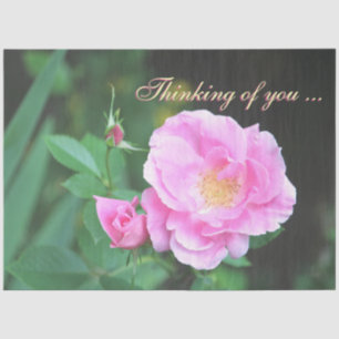 Papier Mousseline Pretty Thing Of You Tissue paper