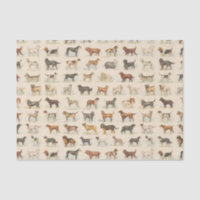 Races de chiens vintages à motif
