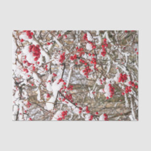Papier Mousseline Red Christmas Holly Berries Snow WInter Decoupage