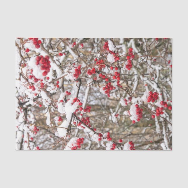 Papier Mousseline Red Christmas Holly Berries Snow WInter Decoupage (Recto)