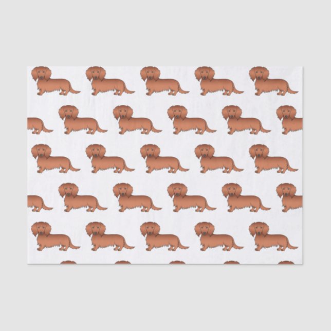 Papier Mousseline Red Long Cheveux Dachshund mignon Motif de dessin (Recto)