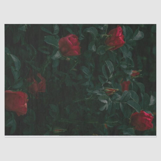 Papier Mousseline Red Roses Tissu Papier Découpage Cadeau (Recto)