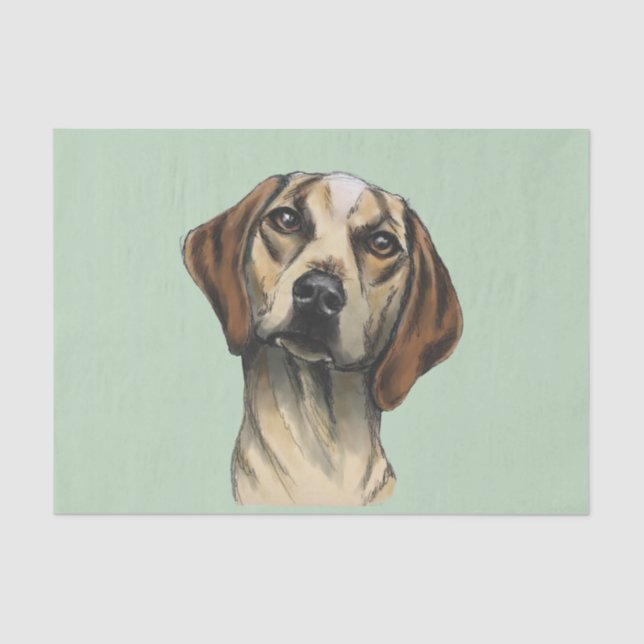 Papier Mousseline Rendu curieux de chien (Recto)