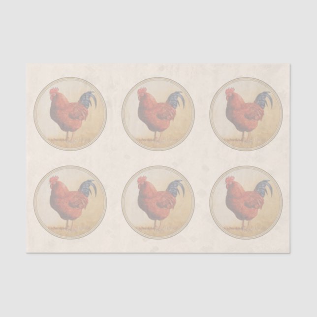 Papier Mousseline Rhode Island Red Rooster Yellow Arrière - plan (Recto)