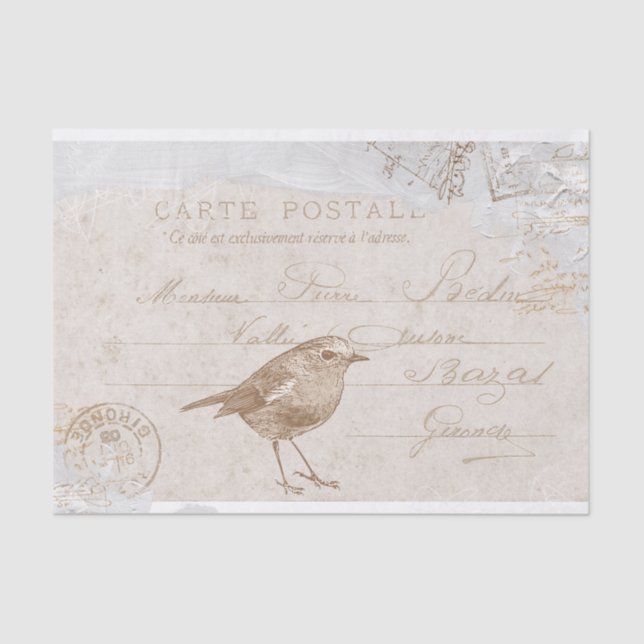 Papier Mousseline Robin Bird Carte Postale Découpage Français Bleu (Recto)