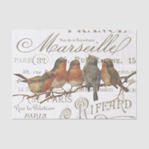 Papier Mousseline Robin Birds Vintage Nom de ville Tissu Papier