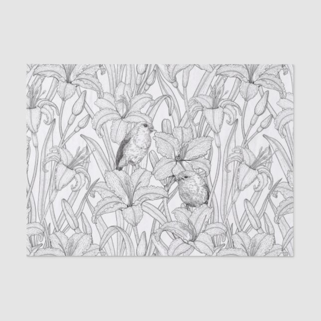 Papier Mousseline Robins et fleurs de lys, noir et blanc (Recto)