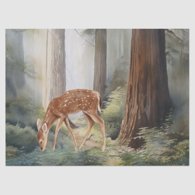 Papier Mousseline Roe Deer Redwood Forest Bois Aquarelle (Recto)