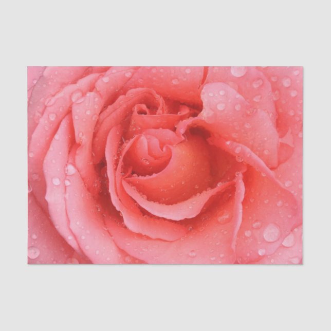 Papier Mousseline Romantique Rose rose rouge gouttes d'eau (Recto)