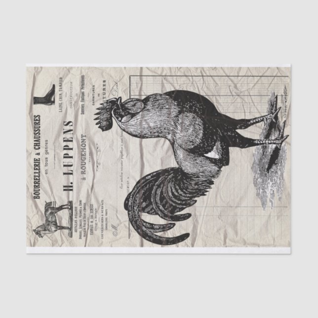Papier Mousseline Rooster (Recto)