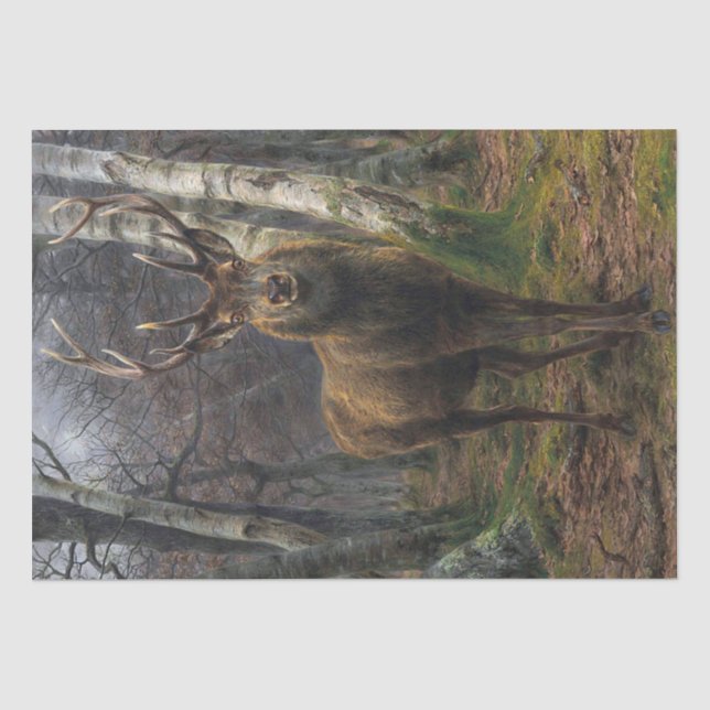 Papier Mousseline Rosa Bonheur | Roi de la Forêt (Recto)