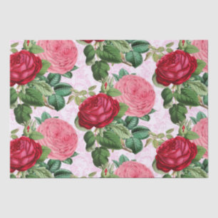 Papier Mousseline Rose Ancienne Rose Floral Damas