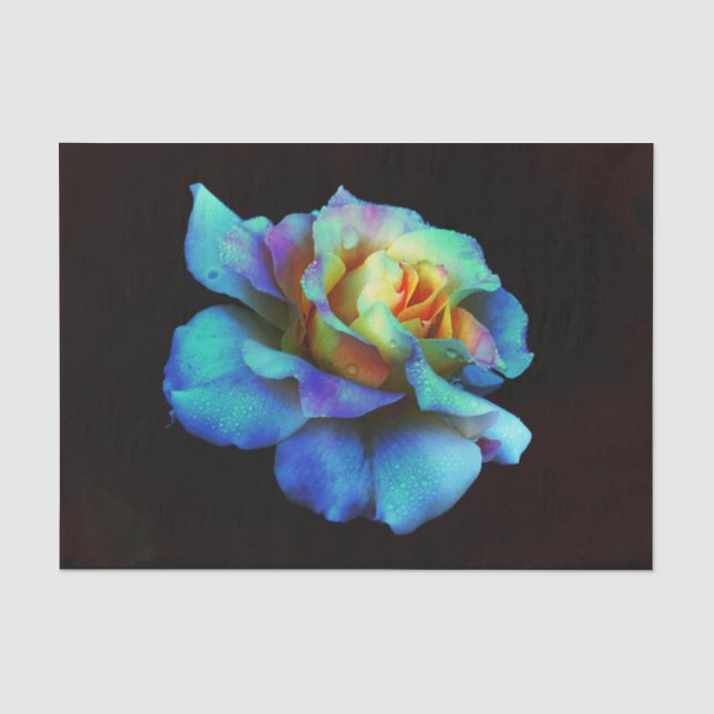 Papier Mousseline Rose arc-en-ciel Turquoise N Gold (Recto)