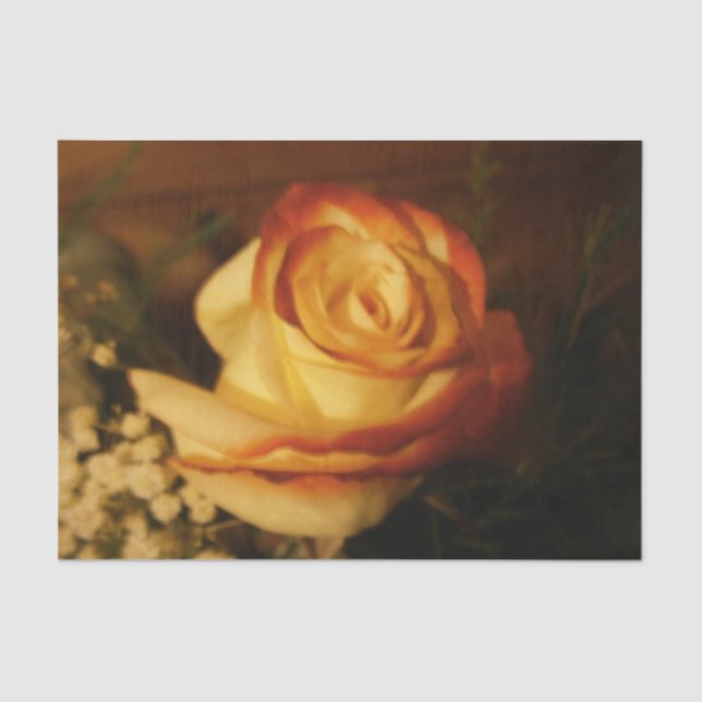 Papier Mousseline Rose de crème (Recto)