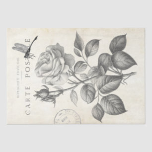 Papier Mousseline Rose Fleur Dragonfly French Postmark Decoupage
