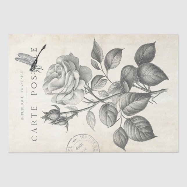 Papier Mousseline Rose Fleur Dragonfly French Postmark Decoupage (Recto)