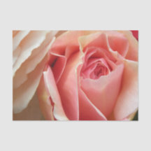 Rose parfait de pastel