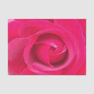 Papier Mousseline Rose rose rouge romantique